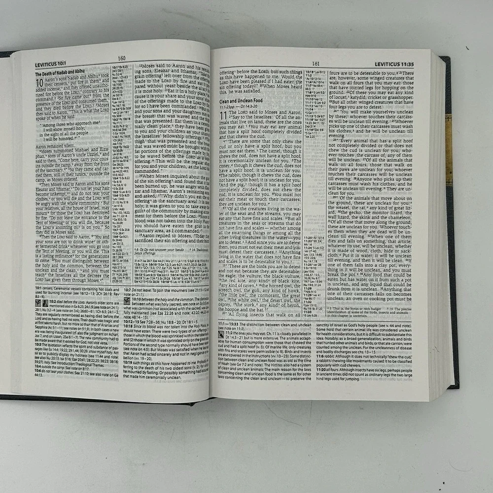 The Unbranded Brand zondervan niv